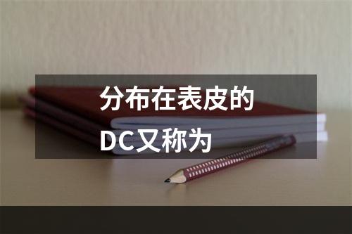 分布在表皮的DC又称为