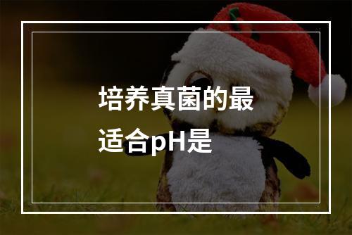 培养真菌的最适合pH是