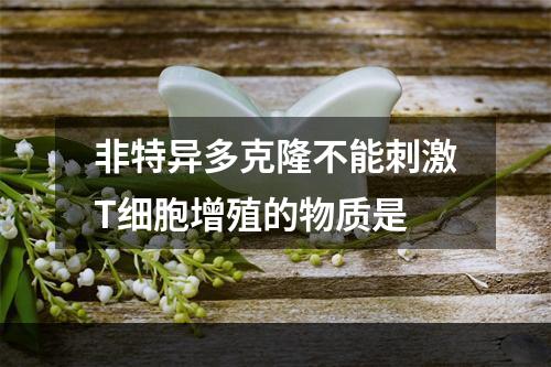 非特异多克隆不能刺激T细胞增殖的物质是