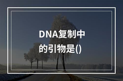 DNA复制中的引物是()