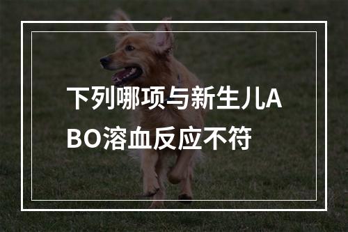 下列哪项与新生儿ABO溶血反应不符