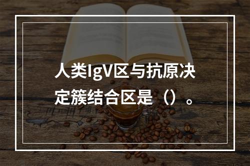 人类IgV区与抗原决定簇结合区是（）。