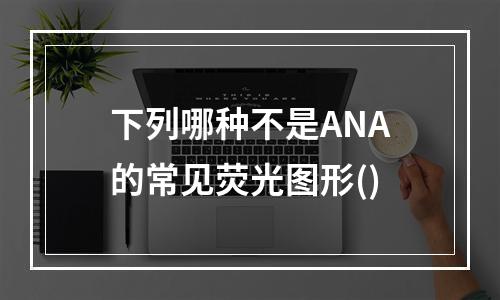 下列哪种不是ANA的常见荧光图形()