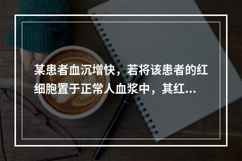 某患者血沉增快，若将该患者的红细胞置于正常人血浆中，其红细胞