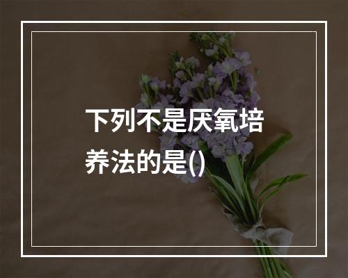 下列不是厌氧培养法的是()