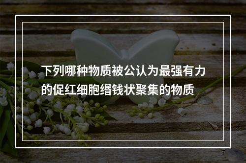 下列哪种物质被公认为最强有力的促红细胞缗钱状聚集的物质