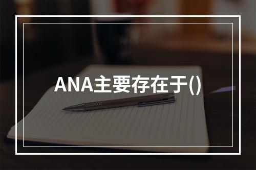 ANA主要存在于()