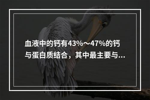 血液中的钙有43%～47%的钙与蛋白质结合，其中最主要与哪种