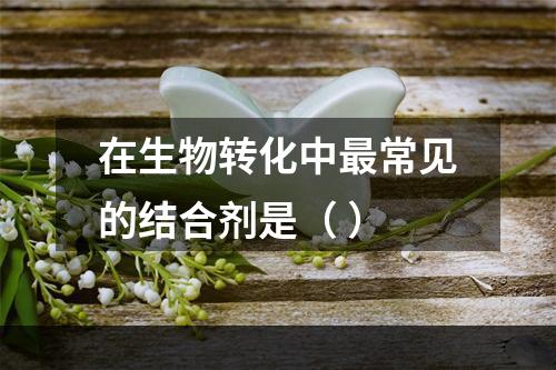 在生物转化中最常见的结合剂是（ ）