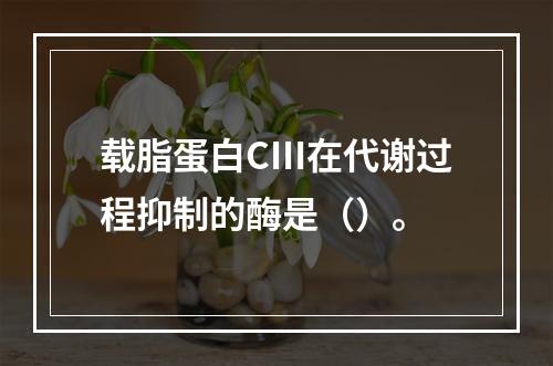 载脂蛋白CⅢ在代谢过程抑制的酶是（）。