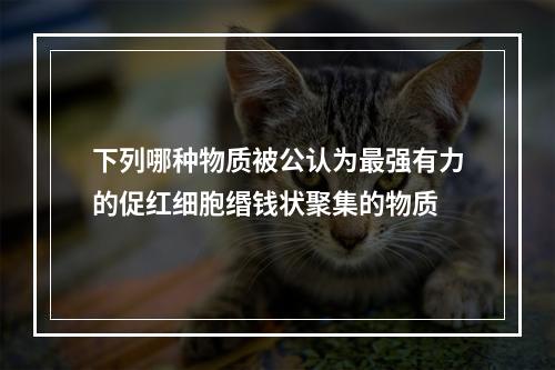 下列哪种物质被公认为最强有力的促红细胞缗钱状聚集的物质