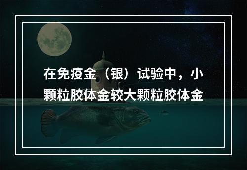 在免疫金（银）试验中，小颗粒胶体金较大颗粒胶体金