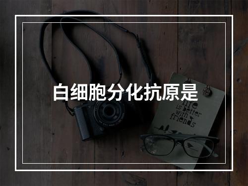 白细胞分化抗原是