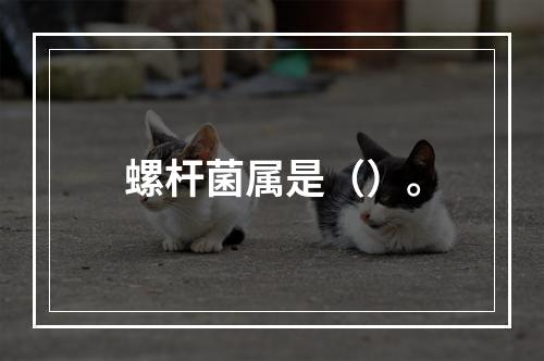 螺杆菌属是（）。