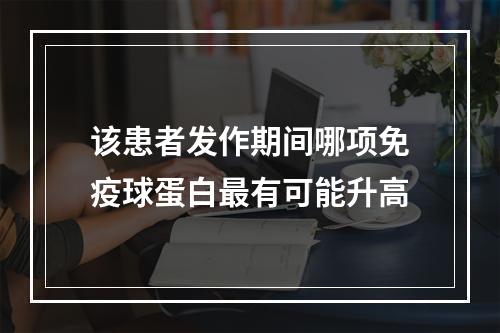 该患者发作期间哪项免疫球蛋白最有可能升高