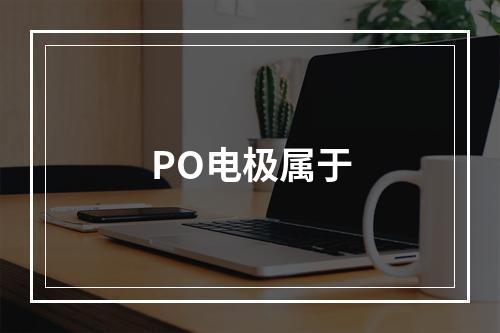 PO电极属于