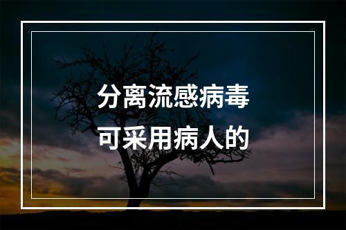 分离流感病毒可采用病人的