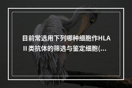 目前常选用下列哪种细胞作HLAⅡ类抗体的筛选与鉴定细胞()