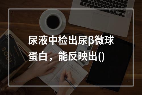 尿液中检出尿β微球蛋白，能反映出()