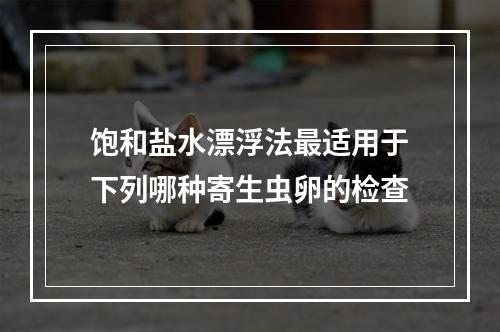 饱和盐水漂浮法最适用于下列哪种寄生虫卵的检查