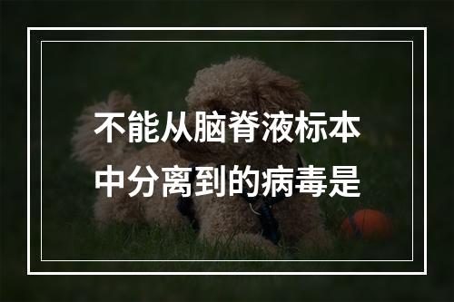 不能从脑脊液标本中分离到的病毒是