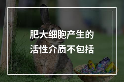 肥大细胞产生的活性介质不包括