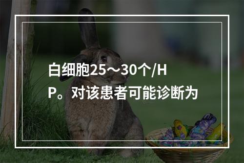 白细胞25～30个/HP。对该患者可能诊断为