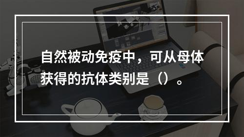 自然被动免疫中，可从母体获得的抗体类别是（）。