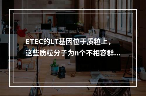 ETEC的LT基因位于质粒上，这些质粒分子为n个不相容群（）