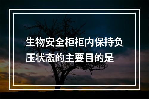 生物安全柜柜内保持负压状态的主要目的是