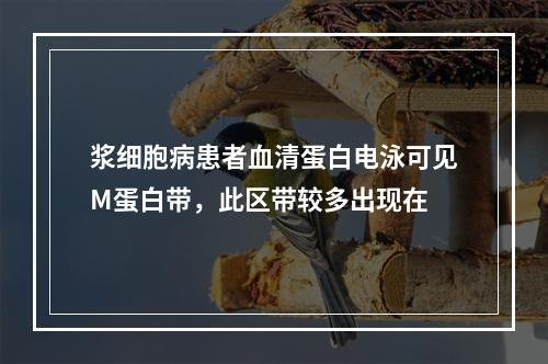 浆细胞病患者血清蛋白电泳可见M蛋白带，此区带较多出现在