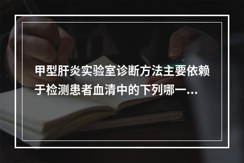 甲型肝炎实验室诊断方法主要依赖于检测患者血清中的下列哪一种成