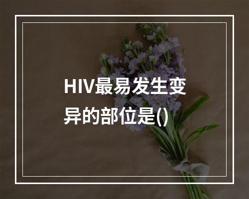 HIV最易发生变异的部位是()