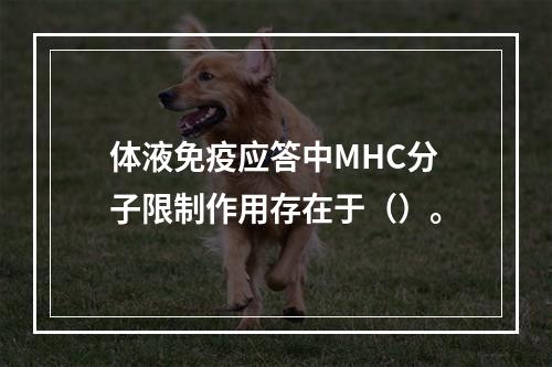 体液免疫应答中MHC分子限制作用存在于（）。