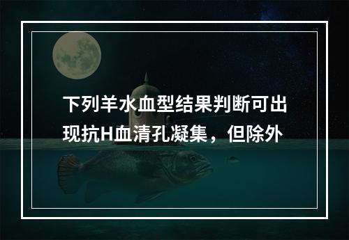 下列羊水血型结果判断可出现抗H血清孔凝集，但除外