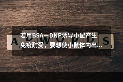 若用BSA－DNP诱导小鼠产生免疫耐受，要想使小鼠体内出现抗