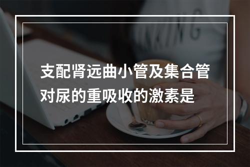 支配肾远曲小管及集合管对尿的重吸收的激素是