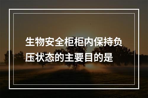 生物安全柜柜内保持负压状态的主要目的是