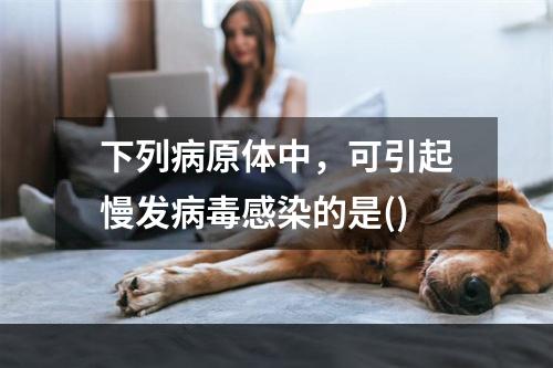 下列病原体中，可引起慢发病毒感染的是()