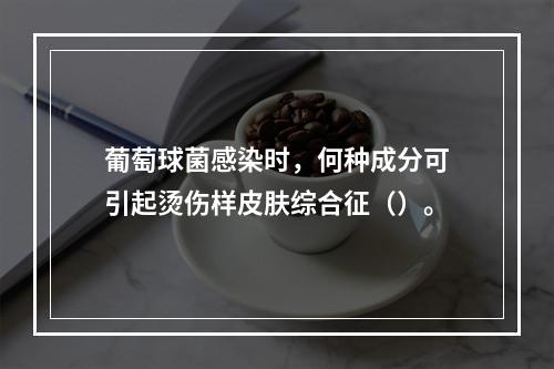 葡萄球菌感染时，何种成分可引起烫伤样皮肤综合征（）。