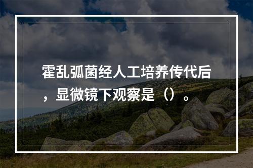 霍乱弧菌经人工培养传代后，显微镜下观察是（）。