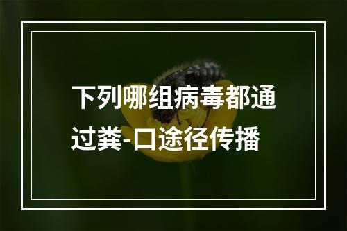 下列哪组病毒都通过粪-口途径传播