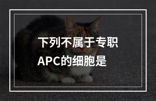 下列不属于专职APC的细胞是