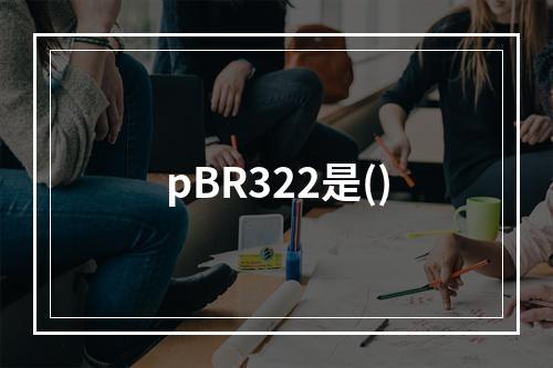 pBR322是()