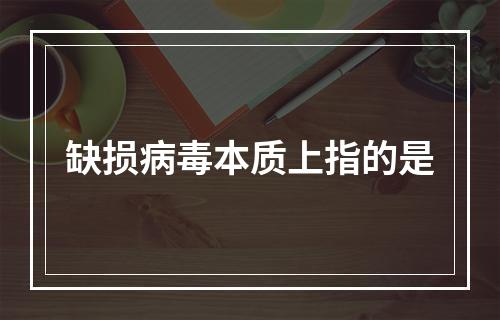 缺损病毒本质上指的是