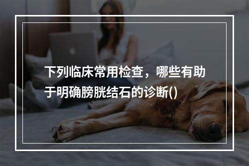 下列临床常用检查，哪些有助于明确膀胱结石的诊断()