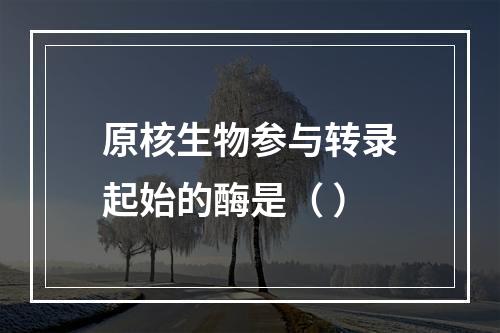 原核生物参与转录起始的酶是（ ）