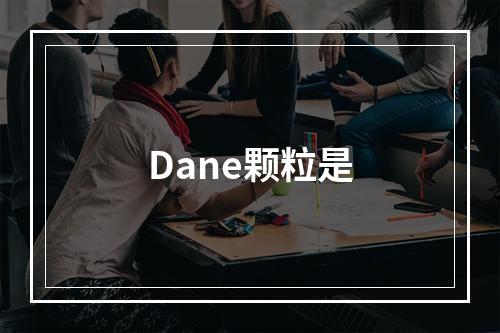 Dane颗粒是