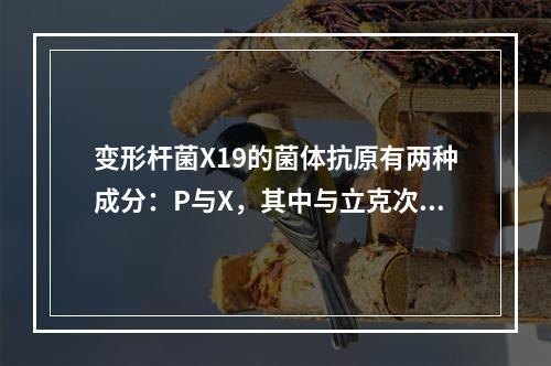 变形杆菌X19的菌体抗原有两种成分：P与X，其中与立克次体部