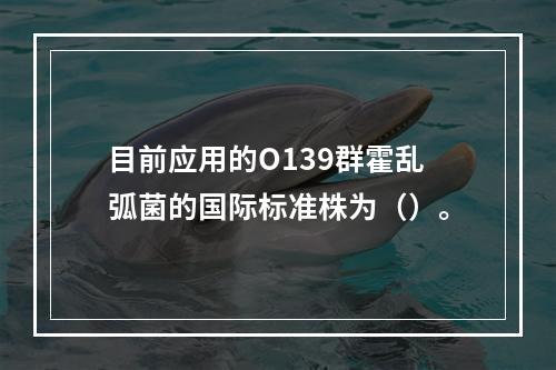 目前应用的O139群霍乱弧菌的国际标准株为（）。